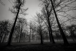 Image post by @emdashphoto on Instagram