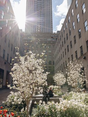 Image post by @rockefellercenter on Instagram