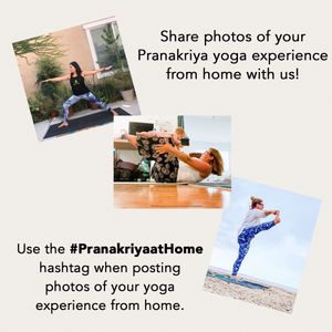 Image post by @pranakriya on Instagram