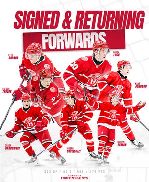 Image post by @fightingsaints on Instagram