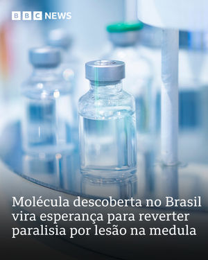 Image post by @bbcbrasil on Instagram