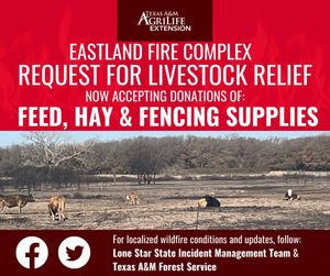 Image post by @txextension on Instagram