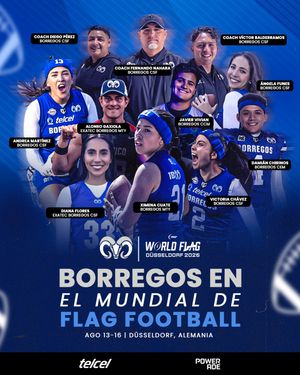 Image post by @borregostec on Instagram