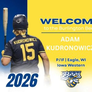 Image post by @burlington_bees on Instagram