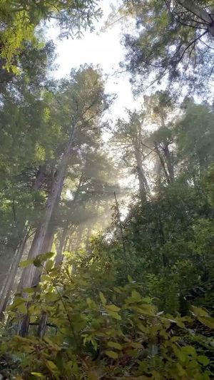 Video post by @byconnornich on Instagram