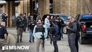 Video post by @msnbc on YouTube