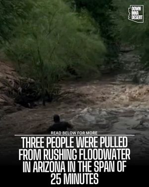 Image post by @downinnadesert on Instagram