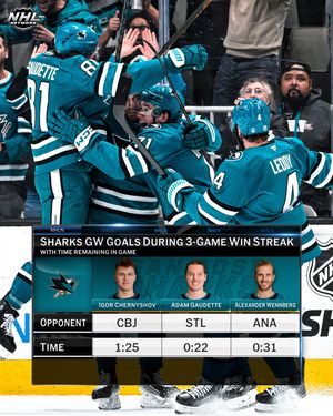 Image post by @nhlmedia on Instagram