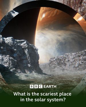 Video post by @bbcearth on TikTok