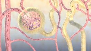 Video post by @nucleusmedicalmedia on YouTube