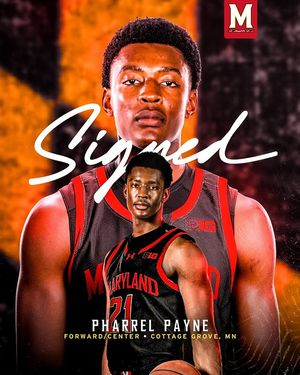 Image post by @terrapinhoops on Instagram