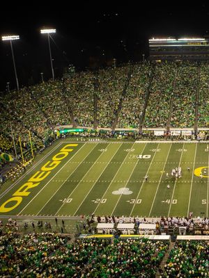 Image post by @goducks on Instagram