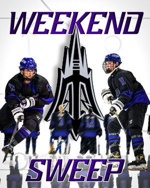 Image post by @lopeswhockey on Instagram