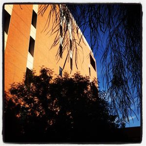 Image post by @arizonastateuniversity on Instagram