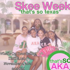 Image post by @texas_akas on Instagram