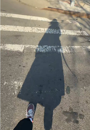 Video post by @hayleylewis_sports on TikTok