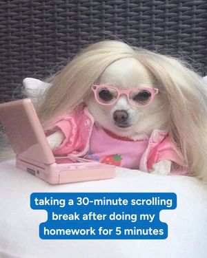 Image post by @commonapp on Instagram