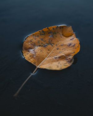 Image post by @fujifilmx_ca on Instagram