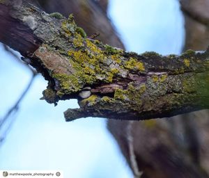 Image post by @rspb on Instagram
