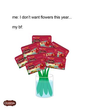 Image post by @celestialtea on Instagram