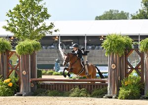 Image post by @kyhorseshows on Instagram