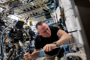 Image post by @iss on Instagram