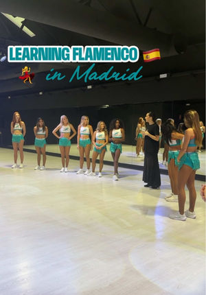 Video post by @dolphinscheer on TikTok