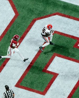 Image post by @SEC on Twitter