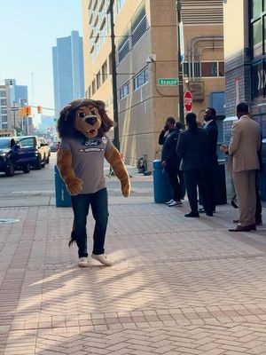 Image post by @roarynfl on Instagram