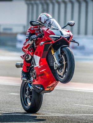 Image post by @panigalers on Instagram
