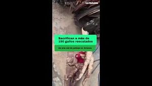 Video post by @laopinionla on YouTube