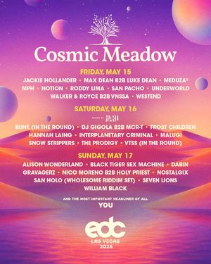 Image post by @edc_lasvegas on Instagram