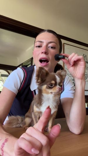 Video post by @victoriaparis on TikTok
