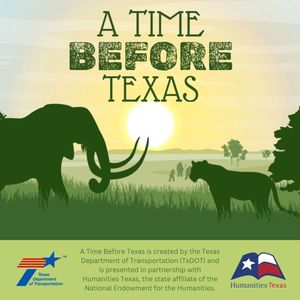 Image post by @TxDOT on Twitter