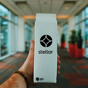 Image post by @stellaragency on Instagram