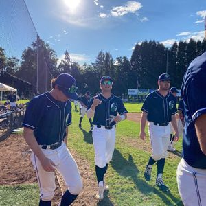 Image post by @picklesbaseball on Instagram