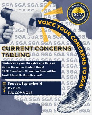 Image post by @uncg.sga on Instagram
