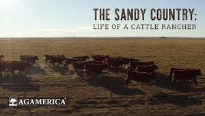 Video post by @agamerica on YouTube