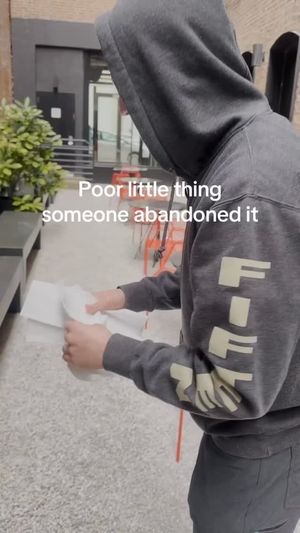 Video post by @KelloggsRaisinBran on Facebook