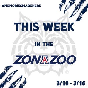 Image post by @zonazooofficial on Instagram