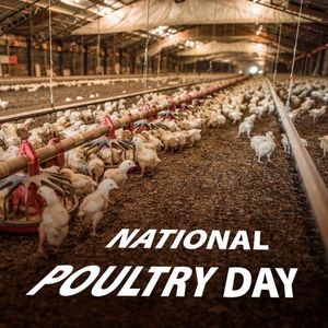 Image post by @farmcredit on Instagram