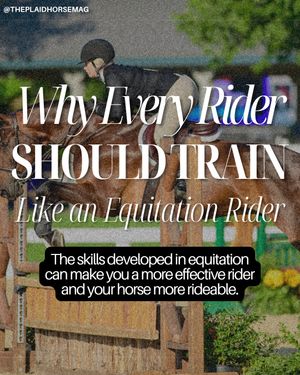 Image post by @theplaidhorsemag on Instagram