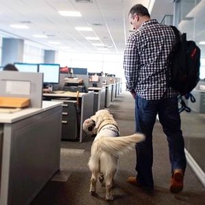 Image post by @mikethewhitegolden on Instagram