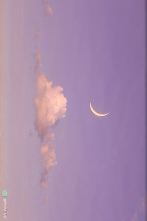 Image post by @inkvoyagestudio on Instagram