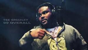 Video post by @teegrizzley on YouTube