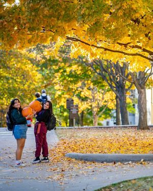 Image post by @uarkansas on Instagram