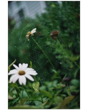 Image post by @camilleshaw on Instagram