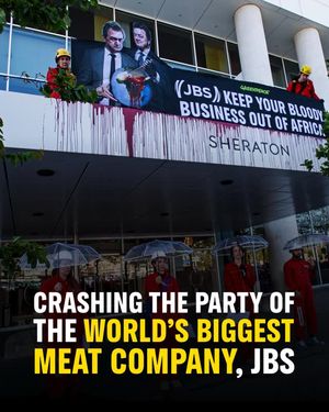 Image post by @greenpeace on Instagram