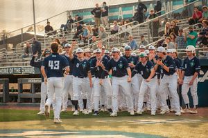 Image post by @theseahawkperch on Instagram