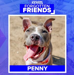 Image post by @kens5 on Instagram